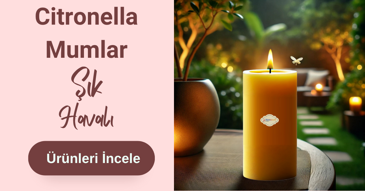 Citronella Mumlar