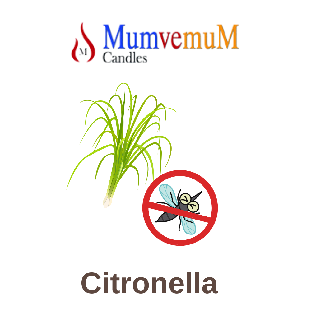 Citronella