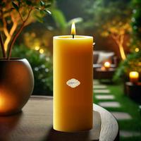1 Koli 12 Adet Citronella Sinek Kovan 7X20 Sarı Silindir Mum