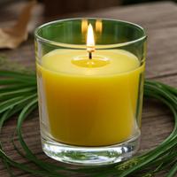 1 Koli Toptan 24 Adet Citronella Sinek Kovan Bardak Mum 405