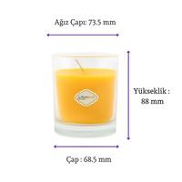 1 Koli Toptan 24 Adet Citronella Sinek Kovan Bardak Mum 405