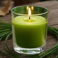1 Koli Toptan 24 Adet Citronella Yeşil Renk Sinek Kovan Bardak Mum 405