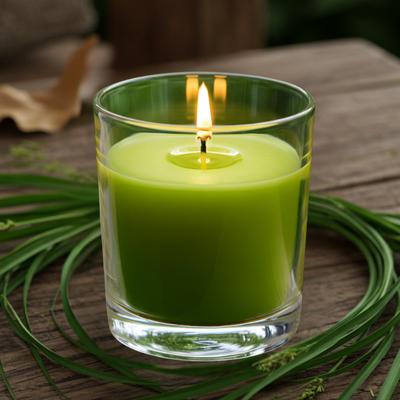 12 Adet Citronella Yeşil Renk Sinek Kovan Bardak Mum