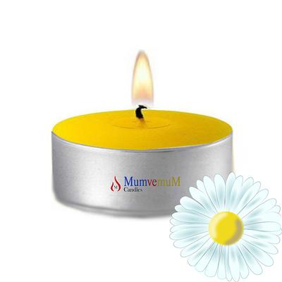 20 Li Papatya Kokulu Tealight Mum