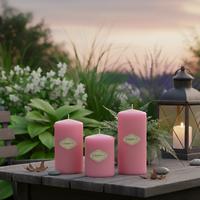 3 Lü Pembe Set Mum Çap :6 cm