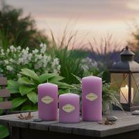 3 Lü Lila Set Mum Çap :6 cm