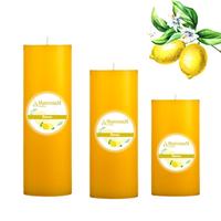 Big Limon Kokulu Set Mum Çap 7 cm Sarı