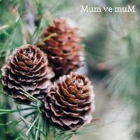Çam Kokulu Cam Bardak İçi Mum 