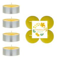 4 Lü Citronella Sinek Kovan Tealight Mum 