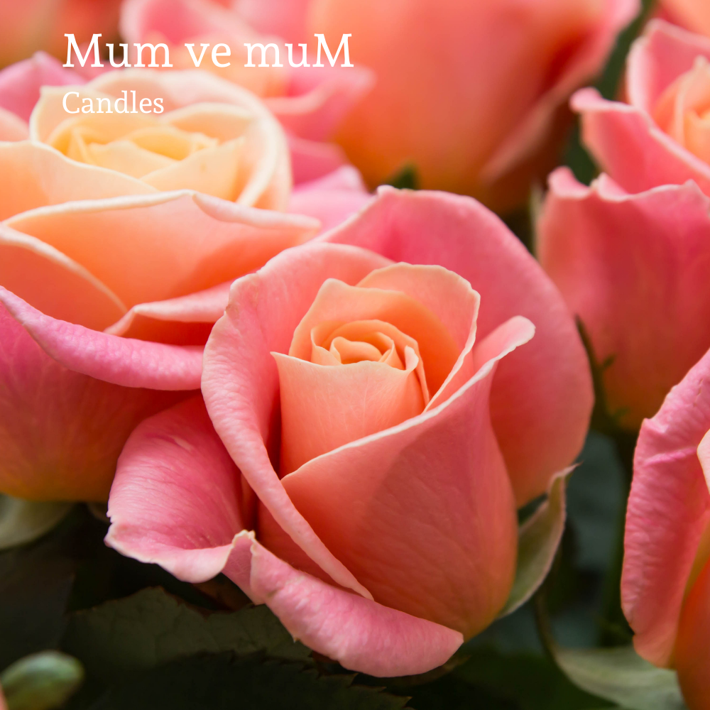 Gül Mum Esansı 10 cc - Görsel 2