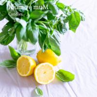 Limon Mum Esansı 10 cc