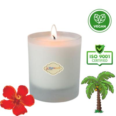 Palm Wax Bardak Mum Amber Çiçeği Kokulu