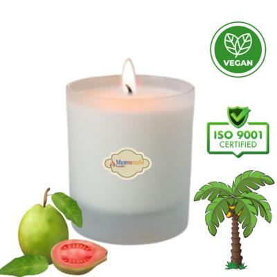 Palm Wax Bardak Mum Guava Kokulu