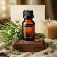 Citronella Mum Esansı 10 cc