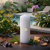 Citronella Silindir Mum 6x20 cm