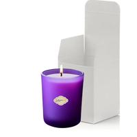 Mor Buzlu Bardak Mum İçi %100 Soya Mum 405
